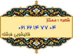 شعبه ممتاز 22147704